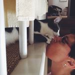 Debra Feldman Singer - @singerdf - Instagram