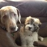 Debra Singer - @debrasinger63_ - Instagram