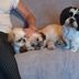 Deborah Slack - Facebook