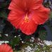 Deborah Slater - Facebook