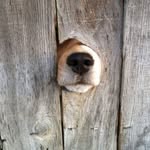 Debra slater - @debraslater3 - Instagram