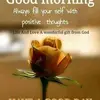 slaterdebra0@gmail.com - @debraslater55 - TikTok