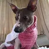 debraslayton571 - @debraslayton571 - TikTok