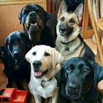 Debra Sledge - @debra.sledge.58 - Instagram