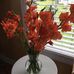 Debra Sloop - Facebook