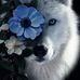 Deb Slusher - Facebook