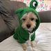 Debbie Smallwood - Facebook