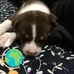 Debra Smitherman - Facebook