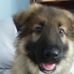 Debbie Snapp - Facebook