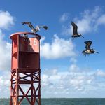 Debra Eberspacher Snider - @snider724 - Instagram