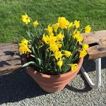 Debra Snider - @d_k_snider - Instagram