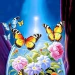 Debra Koima - Facebook