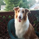 Debra Socha - @tippy0828 - Instagram