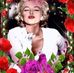Debra Sztajer Socha - Facebook
