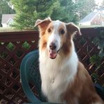 tippy0828 - @debrasocha - Instagram