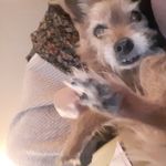 Debra Sons-Hunt - @sonsdee63 - Instagram