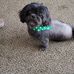 Debra Spangler - Facebook