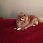 Debra Sparkman - @debra.sparkman3 - Instagram
