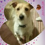 Debra Sparks - @debra.sparks.33 - Instagram