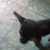 Debra Sparks - @debrasparks59 - TikTok