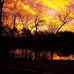 Deborah Sparrow - Facebook