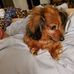 Debra Sparrow - Facebook