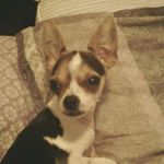 Debra Sparrow - @debra.sparrow.33 - Instagram