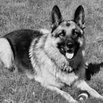 Debra Sparrow - @sterling_archer_gsd - Instagram