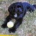 Debbie Specht - Facebook