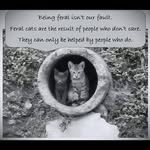 Debra Specht - @debrakspecht - Instagram
