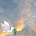 Debra Specht - Facebook