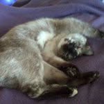 Debra Perry - @debra.s.perry - Instagram