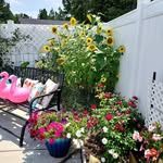 Deborah Spicer - @deborah.spicer.102 - Instagram