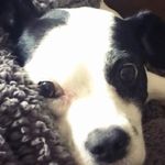 Debra Spicer - @darcienco - Instagram