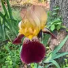 Debra Spinks603 - @debraspinks603 - TikTok