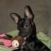 Debra Spohn - Facebook