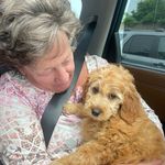 Debra Spohn Saylor - @dsaylor415 - Instagram