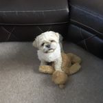 Debra Spooner - @debcollins765 - Instagram
