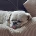 Debra Spooner - Facebook