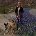 Debra Springfield - Facebook
