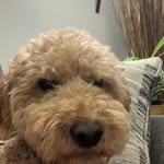 Deb Regier- Sproule - @sprouledeb - Instagram