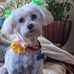 Debbie Spurlock - Facebook
