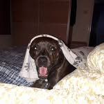 Debra Squires - @debra.squires.31 - Instagram