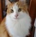 Debra Squires - Facebook