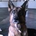 Debra Stack - Facebook