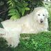 Deb Stackhouse - Facebook