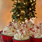 Debra Stadler - Facebook