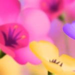 Debra Fourroux Staples - @dfstaples68 - Instagram
