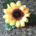 Debra Staples - Facebook