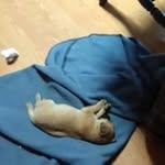 Debra Starkey - @debra.starkey.946 - Instagram